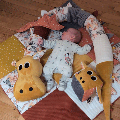 présentation-charles-et-celestine-box-éveil-tapis-et-gaston-pour-bébé-